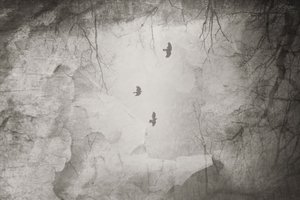  de Daniela Riegler