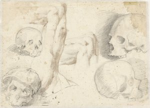 Cuatro estudios de un cráneo de Daniele da Volterra