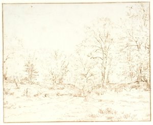 En skovvej