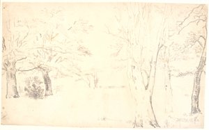 Paisaje con árboles dispersos