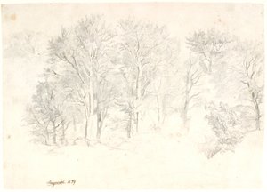 Estudio de Árboles de Dankvart Dreyer