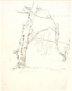 Troncos de árboles de Dankvart Dreyer