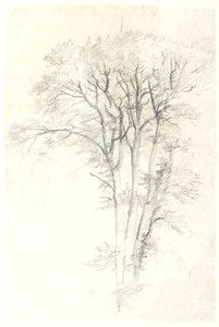 Estudio de árbol de Dankvart Dreyer