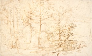 Vista desde un bosque sobre páramo y colinas de Dankvart Dreyer
