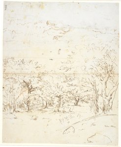 Vista a través de un bosque hacia un estrecho