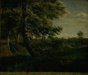 Bosque de Ørsbjerg en Aarup, Funen de Dankvart Dreyer