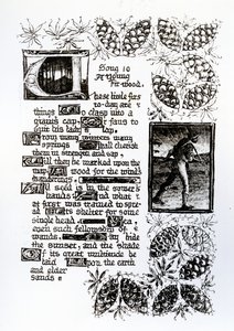 Texto iluminado de la secuencia de sonetos 