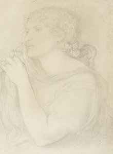 Estudio de Fanny Cornforth, 1863 de Dante Gabriel Charles Rossetti