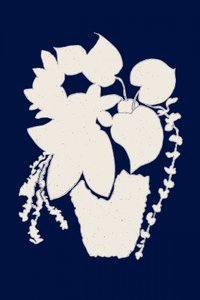 Elegante silueta de una planta en maceta de Danushka Abeygoda