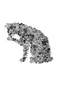 Silueta de gato con motivos florales