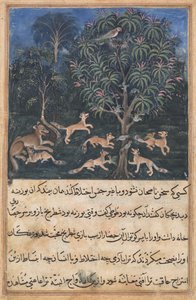 Página de Cuentos de un loro Tuti-nama: Quinta noche: La madre loro advierte..., c. 1560