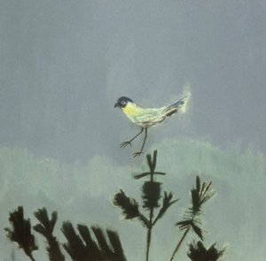 Extraño pájaro posado de David Alan Redpath Michie