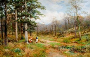 En The Long Mynd, Church Stretton de David Bates