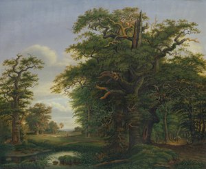 Bosque de robles, 1847 de David Christopher Mettlerkamp