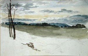 Paisaje Boscoso al Atardecer