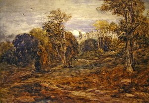Torre de Barden de David Cox
