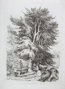 Haya no. 18, ilustración de Lecciones progresivas sobre paisaje para jóvenes principiantes, 1816 de David Cox