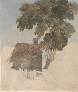 Cabaña y árboles