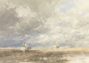 Ir a Hayfield