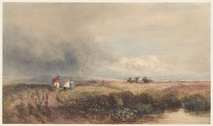  de David Cox