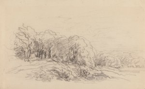 Paisaje con árboles de David Cox