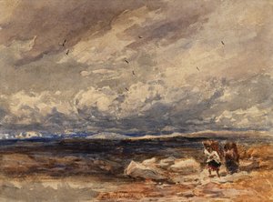 En Carrington Moss