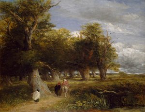 Faldas del Bosque, 1855 de David Cox