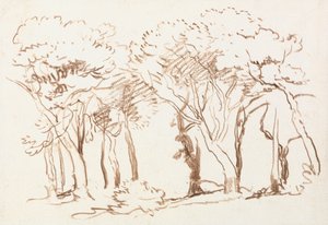 Estudio de los árboles de David Cox