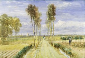 La Avenida de los Álamos de David Cox