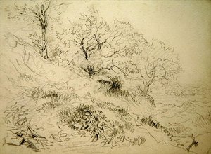 Paisaje galés