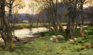 Achray de David Farquharson