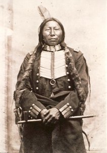 Rey Cuervo de David Frances Barry
