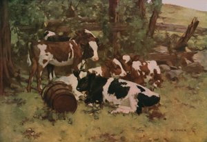 Contentamiento de David Gauld