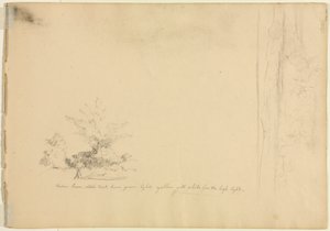 Estudios de paisaje y arbolado (verso) de David Johnson