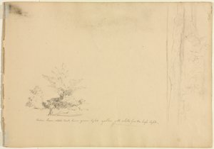 Estudios de paisaje y árbol, c. 1851 de David Johnson