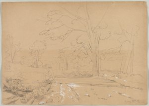 Paisaje con hombre pescando, Conway, New Hampshire de David Johnson