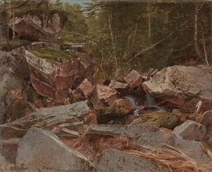 Estudio, North Conway, New Hampshire, 1851 de David Johnson