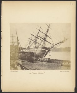 La "Jane Tudor" de David Johnson