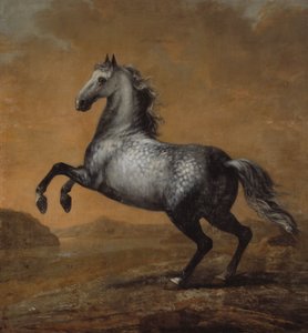 El pequeño inglés, caballo del rey Karl XI (1655-97)