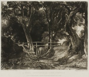 Un valle, Parque Helmingham, Suffolk de David Lucas