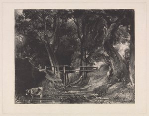 A Dell, Helmingham Park, Suffolk
