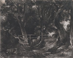 Un valle, Parque Helmingham, Suffolk