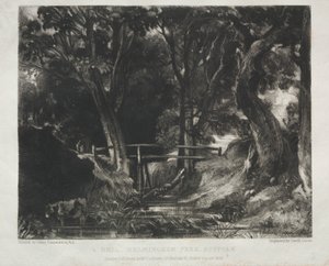 Varios temas de paisaje, característicos del paisaje inglés de cuadros pintados por John Constable, R.A.: Valle en los bosques de Helmingham Park, Suffolk de David Lucas