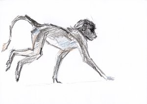 Babuino, 2020 (lápiz sobre papel) de David Mayer