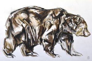 Oso pardo caminando, 2012 (Pastel/Conte sobre papel) de David Mayer