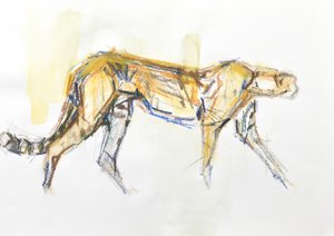 Cheetah, 2020 (crayón y acuarela sobre papel) de David Mayer