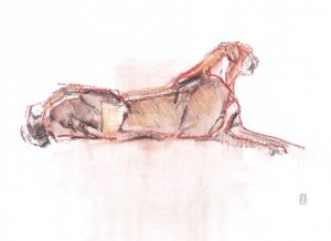 Alerta de guepardo, 2019 (crayón/acuarela sobre papel) de David Mayer