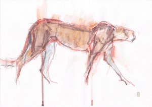 Caza de guepardos, 2019 (crayón/acuarela sobre papel) de David Mayer
