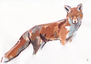 Red Fox, 2021 (gouache y acuarela/lápiz sobre papel)