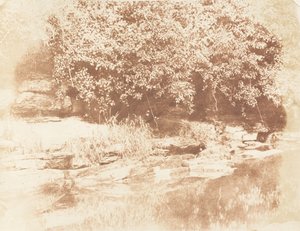Burnside, Isla de Fife en el Río Almond, 1843-47 de Hill and Adamson